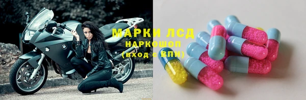 шишки Армянск