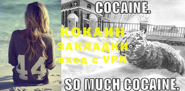 крисы Аркадак