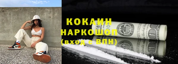шишки Армянск