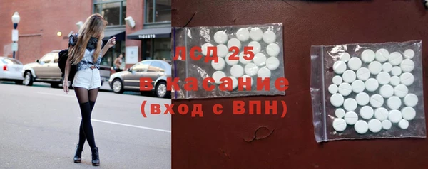 шишки Армянск