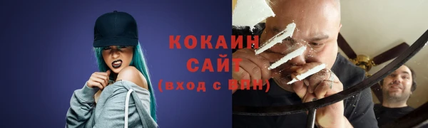 шишки Армянск
