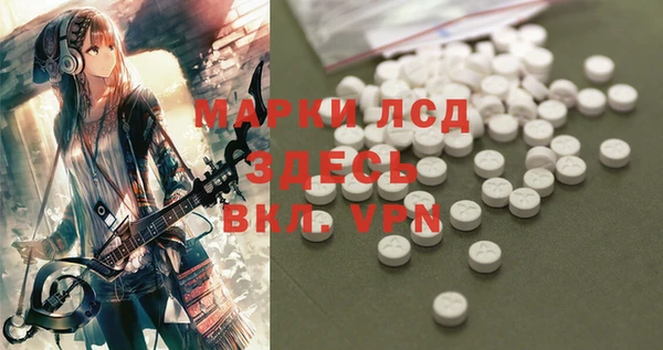 крисы Аркадак