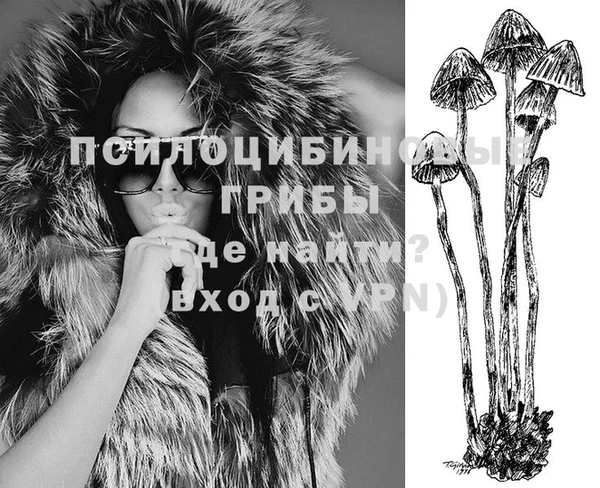 крисы Аркадак