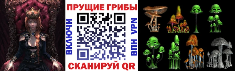 Псилоцибиновые грибы прущие грибы  сколько стоит  Нестеровская 